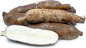 Yuca Cassava Root