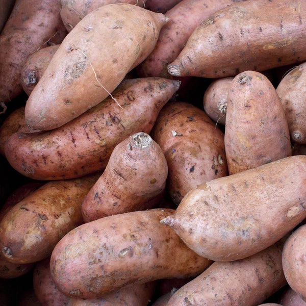 Sweet Potato (1 Lb)