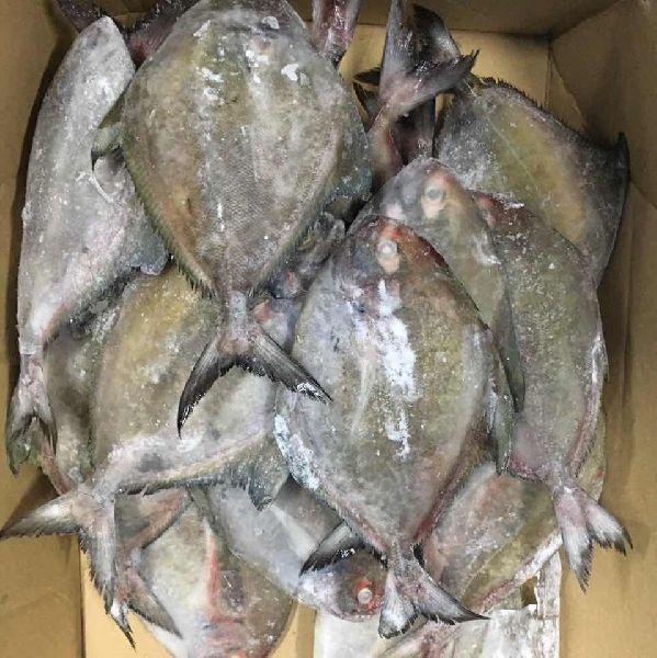 Frozen Pompano Fish (1 Lb) Whole